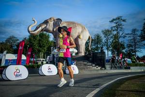 BIB: 
                            <button type="button" onclick="openModal(26541766)" class="btn btn-primary btn-sm float-right btn-popup" data-toggle="modal" data-target=".modal-high-quality">
                        <i class="fas fa-shopping-cart"></i> Add to Cart
                    </button>
                                            <button type="button" onclick="isThisMe(26541766, true)" class="btn btn-success btn-sm float-right btn-popup btn-isme hidden" data-toggle="tooltip" data-placement="bottom" title="นี่คือรูปของคุณใช่ไหม คลิกที่นี่เพื่อเอาเข้าอัลบั้ม">
                        <i class="fas fa-plus"></i> Add to album
                    </button>
                    <button type="button" onclick="isThisMe(26541766, false)" class="btn btn-warning btn-sm float-right btn-popup btn-isnotme hidden">
                        <i class="fas fa-ban"></i> Remove from album
                    </button>